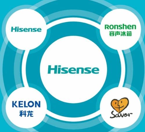 海信電器總部與海信家電集團(tuán)客服信息咨詢(xún)服務(wù)詳解